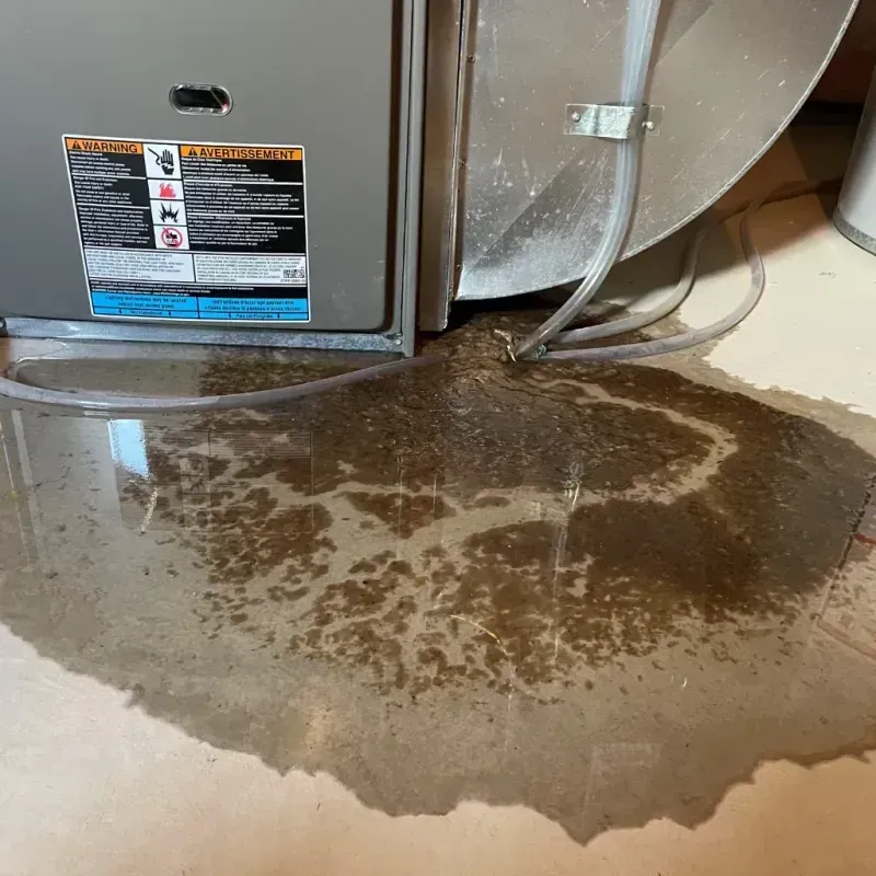 Appliance Leak Cleanup in Marshfield, WI